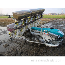 Plantador de arroz de empuje manual
